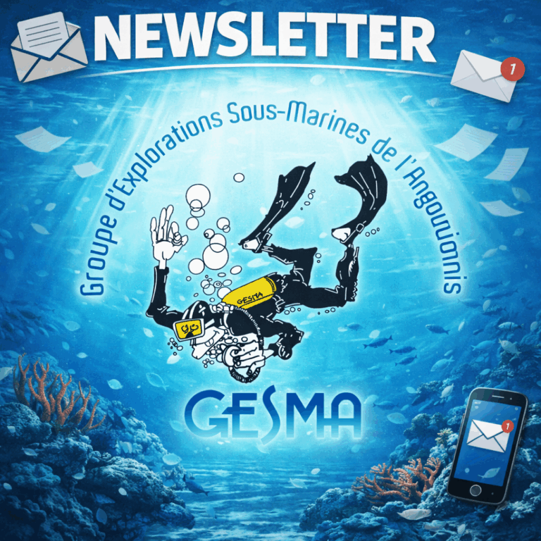 Lire la suite à propos de l’article Newsletter n°18