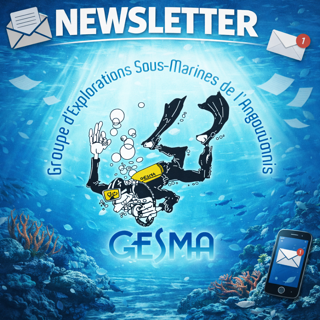 Lire la suite à propos de l’article Newsletter n°18