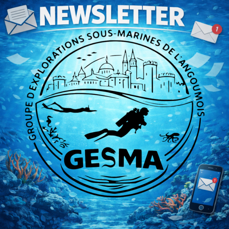 Lire la suite à propos de l’article Newsletter n°20